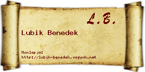 Lubik Benedek névjegykártya